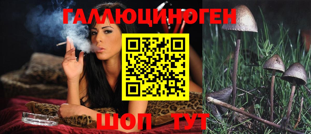 Псилоцибиновые грибы мухоморы  Вход с VPN  Урус-Мартан 