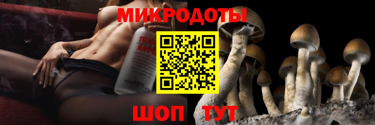Псилоцибиновые грибы Psilocybe Урус-Мартан